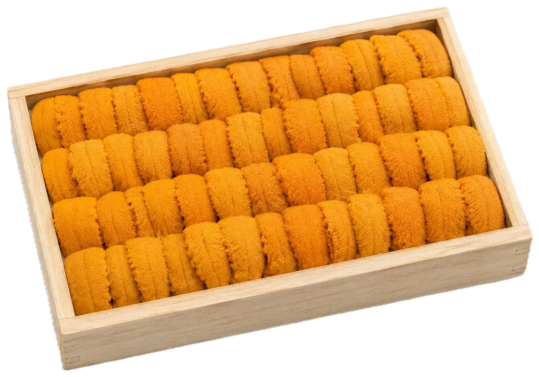 Uni, sea urchin, tray